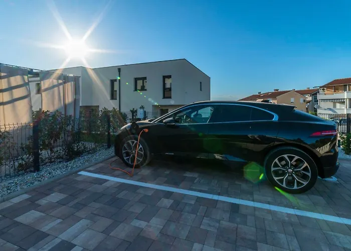 Pinna - Datul * Пула